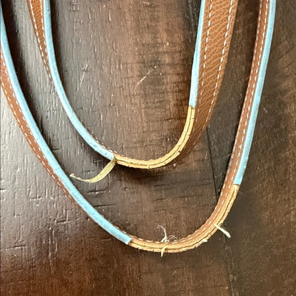 Coach Vibrant Blue and Tan Handbag